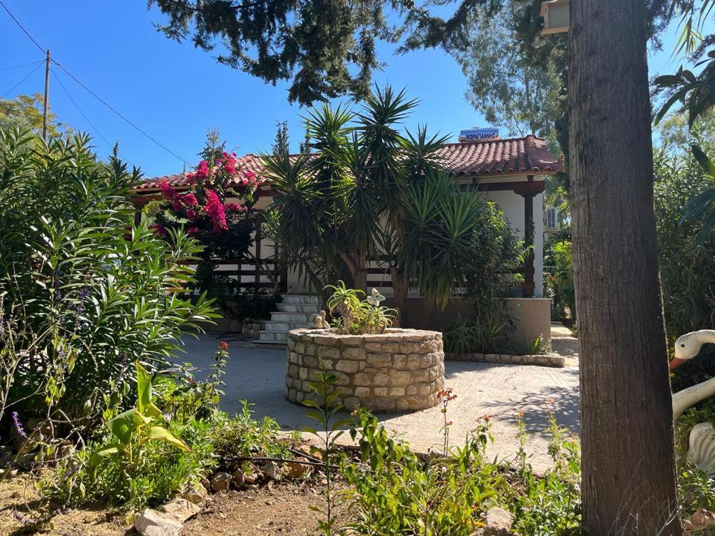 Garden Casa vacanze Gialova